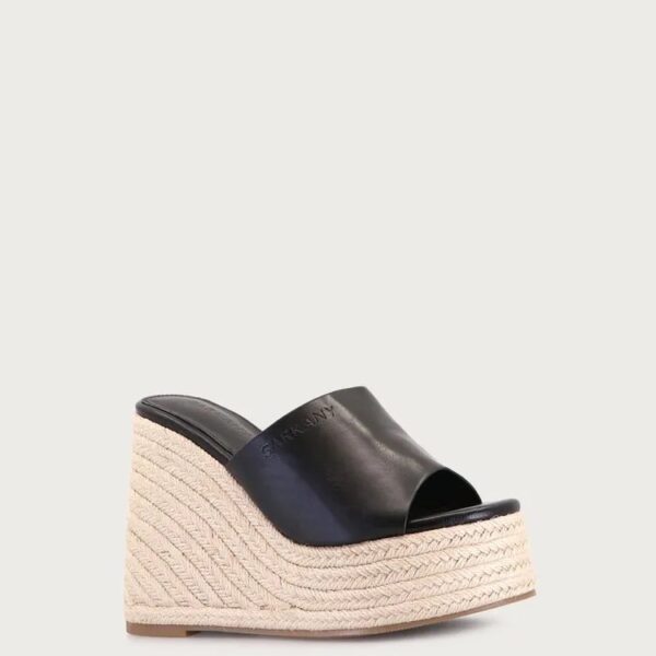 PLATAFORMA DELAN SARKANY